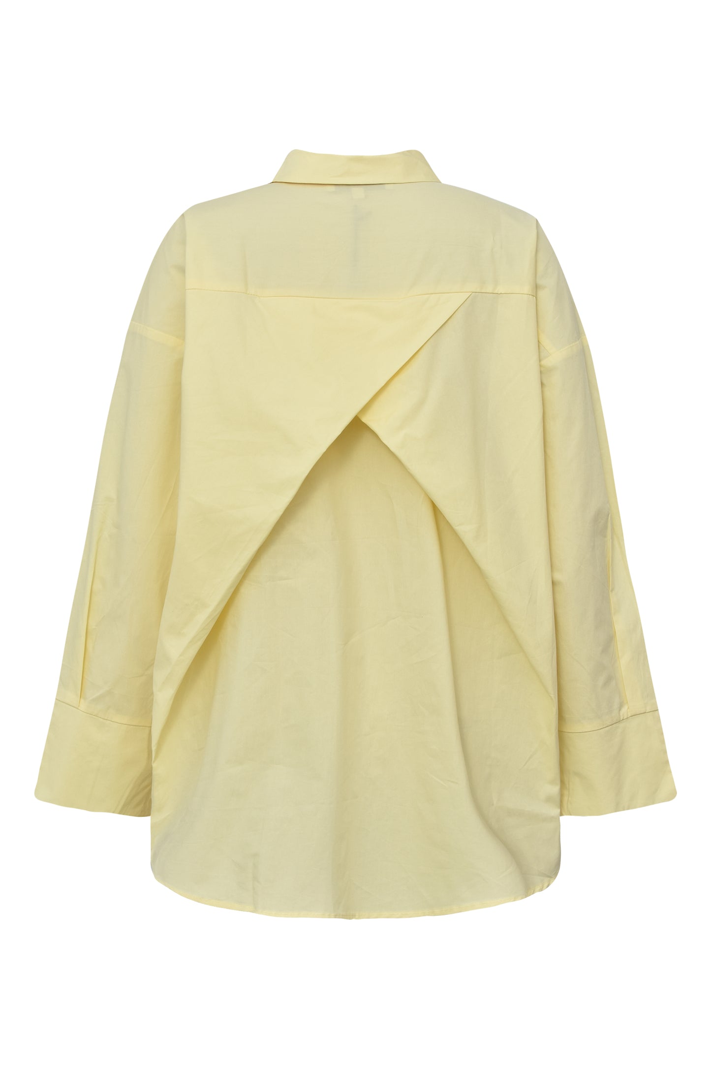 Magnolia pusero keltainen