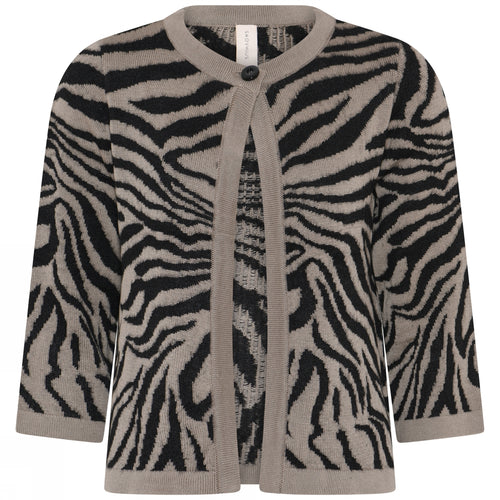 Lataa kuva 1. Seepra kuosinen neuletakki