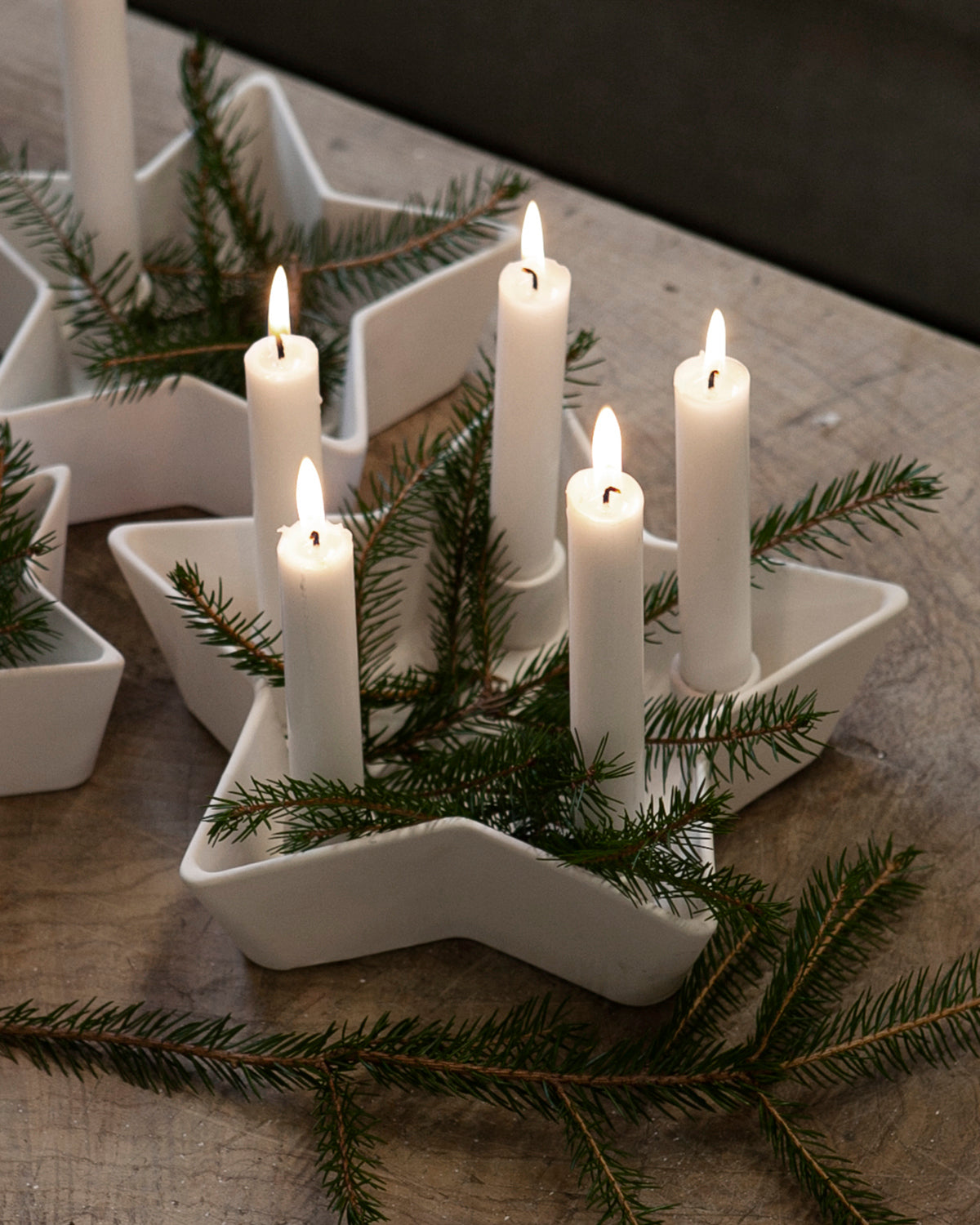 Tähti Kynttiläjalka