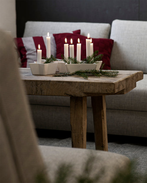 Lataa kuva 1. Tähti Kynttiläjalka